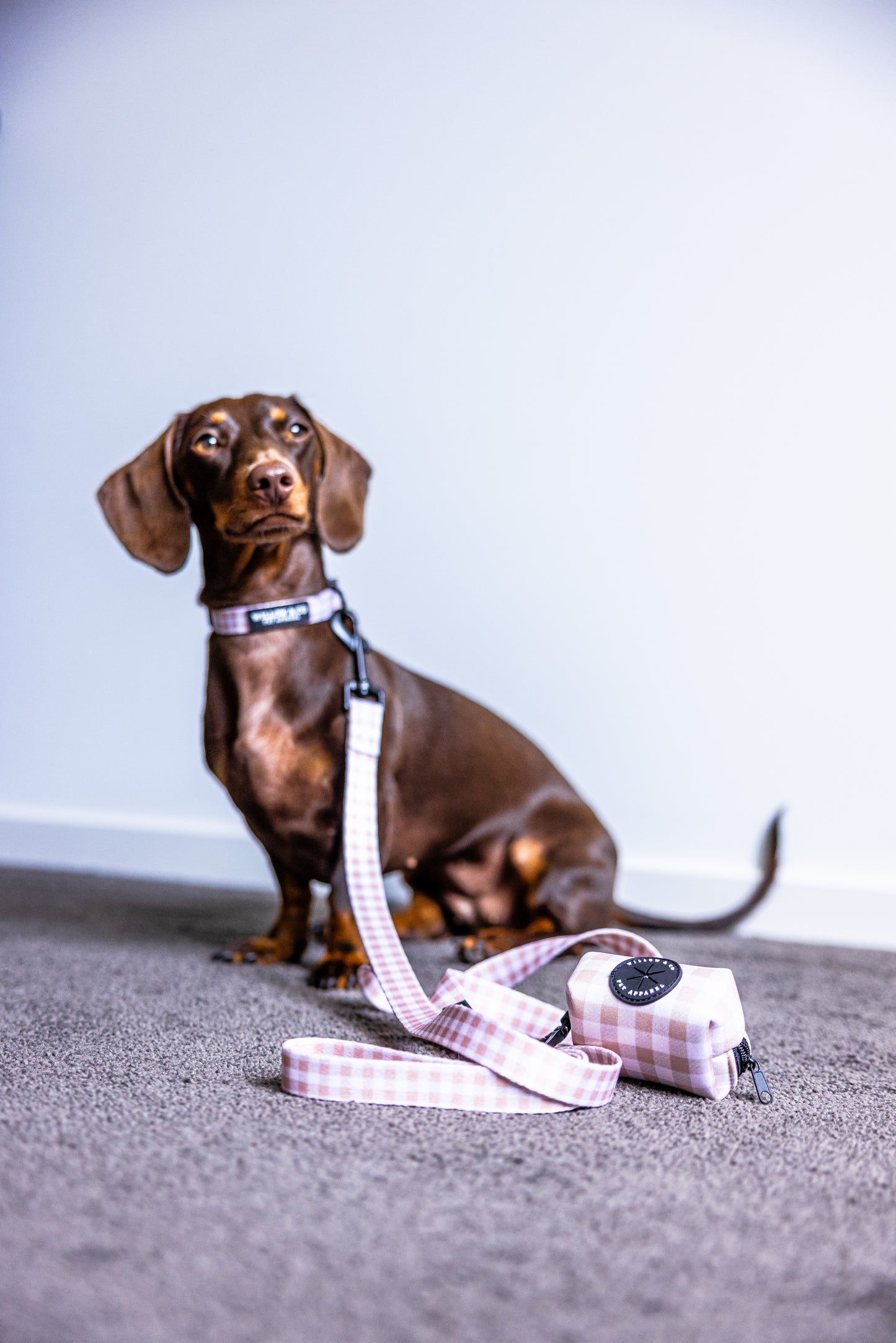 Collar Bundle - Chai