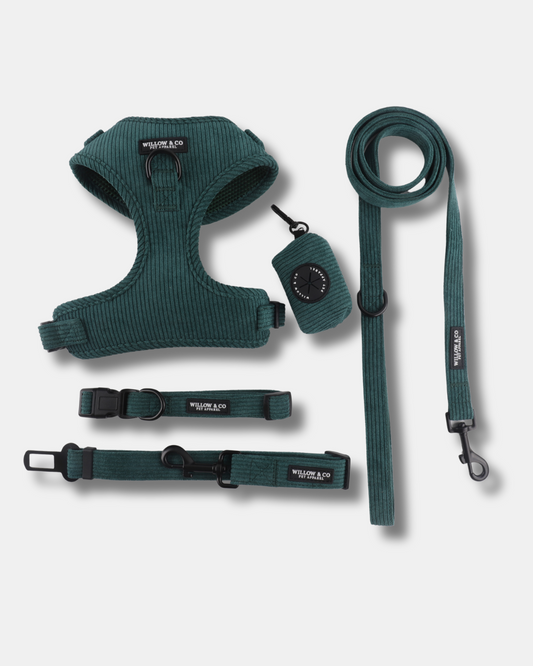 Walk & Ride Bundle - Evergreen Pine