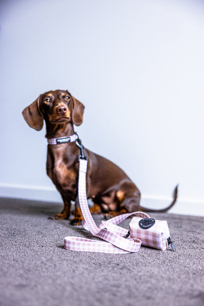Collar Bundle - Chai