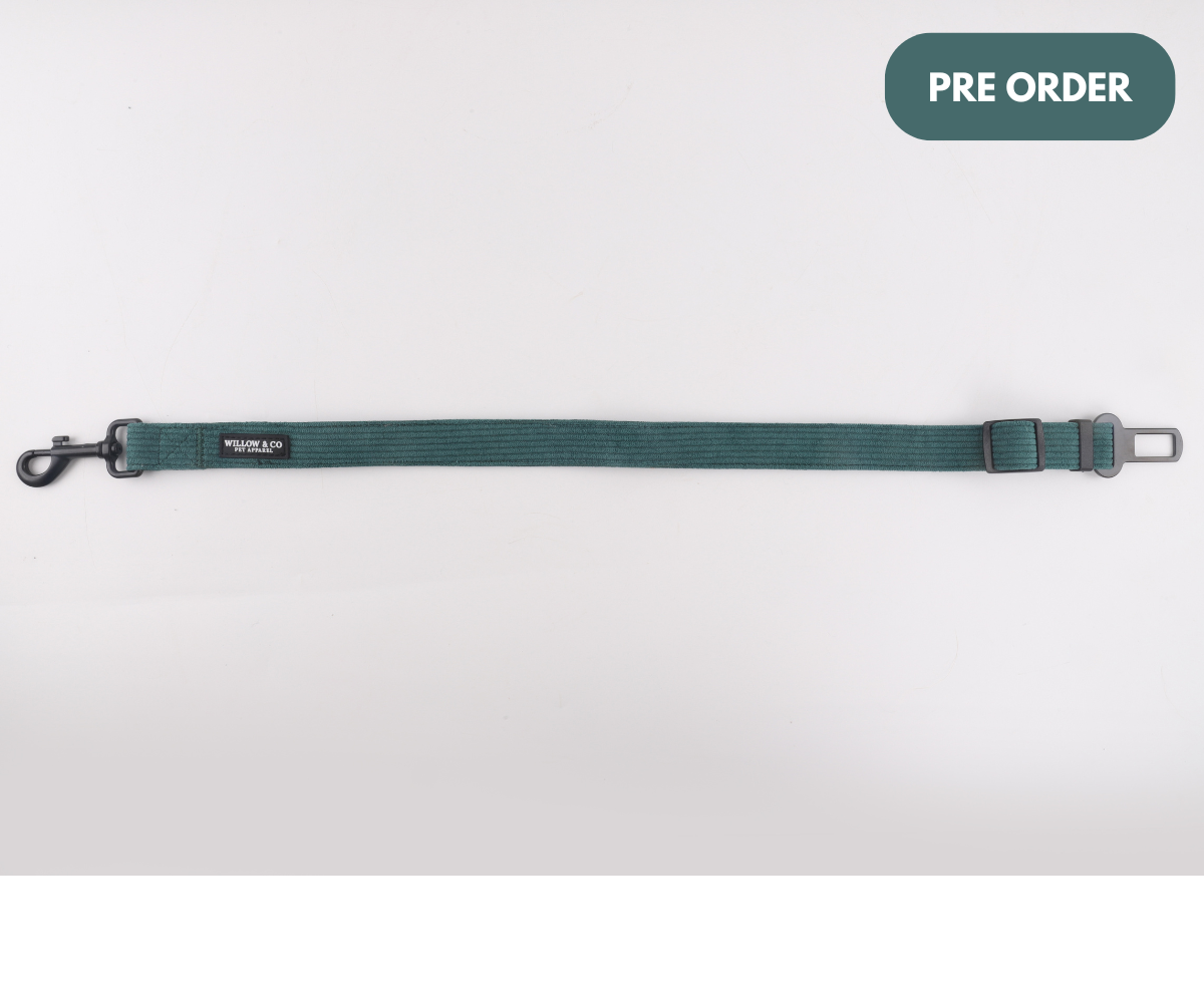Walk & Ride Bundle - Evergreen Pine